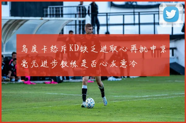 乌度卡怒斥KD缺乏进取心再批申京毫无进步教练是否心灰意冷
